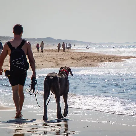 Hébergement de vacances Zeester 189 Julianadorp