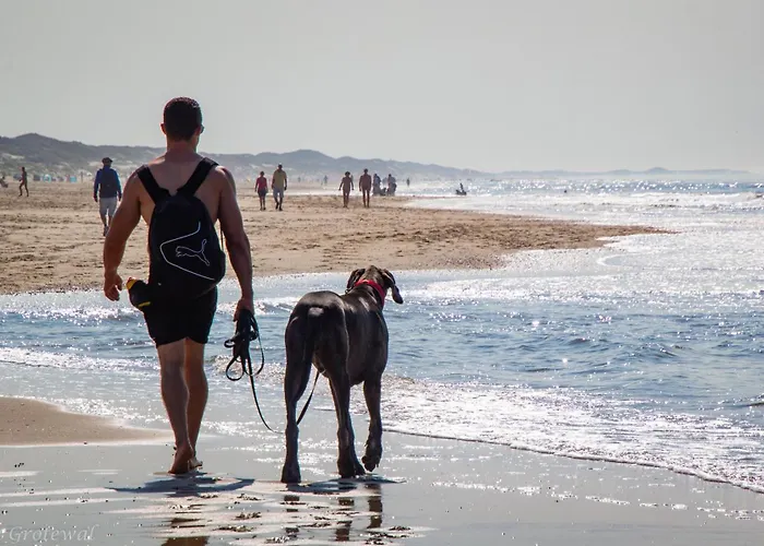 Feriehus Zeester 189 Julianadorp
