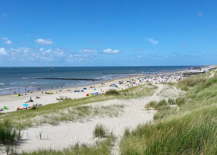 Zeester 189 * Julianadorp