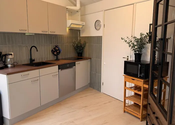 Zeester 189 De Zandloper